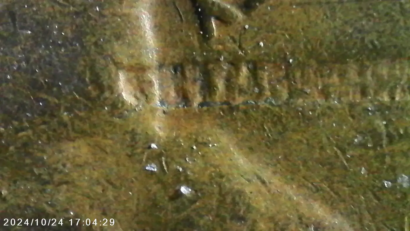 1930-Penny-With-Railroad-Track